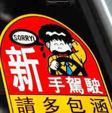驾照下来多久可以自己上路
