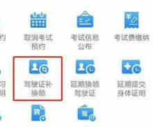 网上怎么审驾驶证