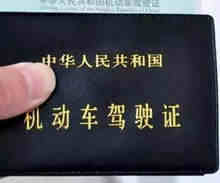 驾照丢了去哪里补办